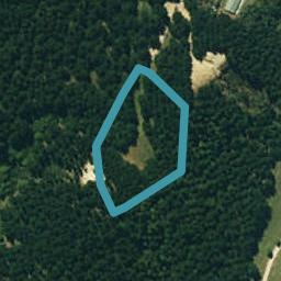1165C Cooks Tooth Road, Pōrangahau