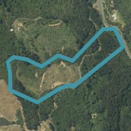 151 State Highway 25, PUMPKIN HILL, WHITIANGA