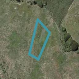 12 Kotuku Ngutupapa Way, WAIKANAE, WAIKANAE
