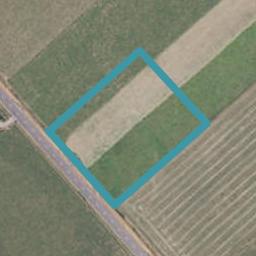 1367 Rongotea Road, Kairanga, Kairanga