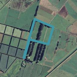 111A Burt Road, Matata, Whakatane