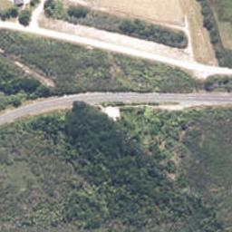 8238 State Highway 6, Virgin Flat, Cape Foulwind