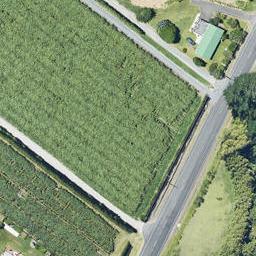 118 Wairoa Road, Minden, Tauranga