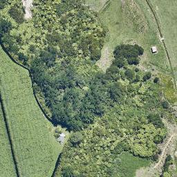 1138 Melville Road, OMANAWA, Omanawa