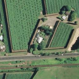 1561 State Highway 2, Pongakawa, Te Puke