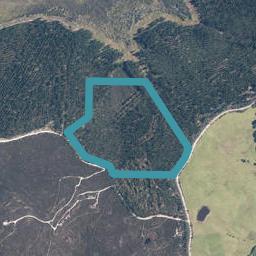 0 Tahanga Road, Lake Ohia
