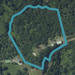 575 Edward Street, Coromandel, Coromandel