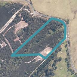 411 Rangiputa Road, Karikari Peninsula, Karikari Peninsula