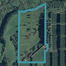 258 Athenree Road, Athenree, Katikati