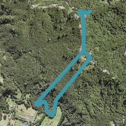 55 Welsh Hills Road, Swanson, Auckland