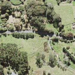 92 Bethells Road, Henderson