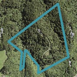 798 Ponga Road, Papakura