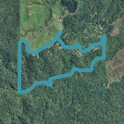 425C Lund Road, Aongatete, Aongatete