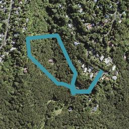 55B Tainui Road, Titirangi, Auckland