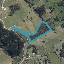 241 J V Grant Road, Wellsford, Wellsford