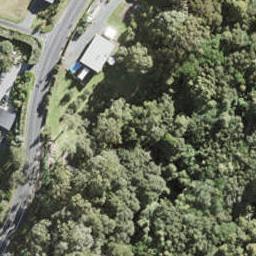 101 Wright Road, Albany