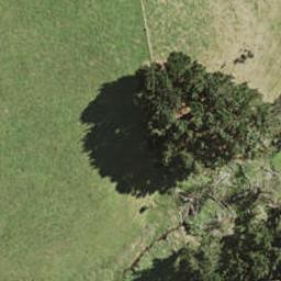 79 Pukewhau Road, Pukekohe, Pukekohe