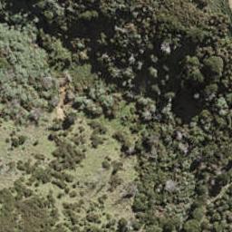 3 Tipa Road, Ostend, Waiheke Island