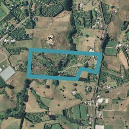 312 Youngson Road, Whakamarama, Whakamārama