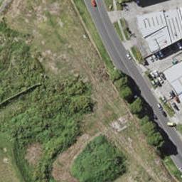 3 Morehu Wilson Road, St Johns, Auckland