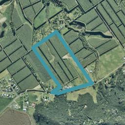 95 Copenhagen Road, Te Kaha, Te Kaha