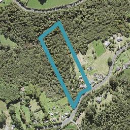 55 Bethells Road, Henderson
