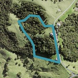 439 Mahurangi West Road, Mahurangi West, Warkworth