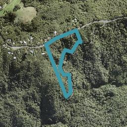 213 Piha Road, Piha