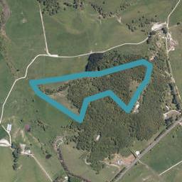 542E Oneriri Road, Kaiwaka