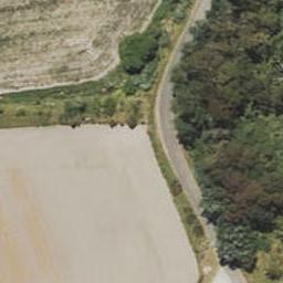 57 Waihirere Domain Road, Waihīrere, Gisborne