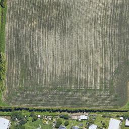 0 Seddon Street, Te Puke, TE PUKE