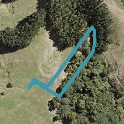 11 Grand Ridge Avenue, Flat Bush, Auckland
