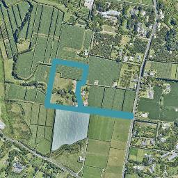 87 Te Puna Road, Te Puna, Tauranga