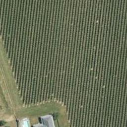 2174 State Highway 1, Spring Creek, Spring Creek