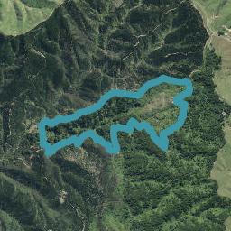 0 Patua Rd, Owhango, Owhango