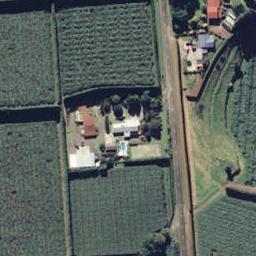 192 Tablelands Road, Tirohanga, Ōpōtiki
