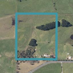 3183 Pouto Road, Te Kopuru
