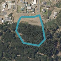 6 Te Awe Awe Grove, Himatangi Beach, Himatangi Beach
