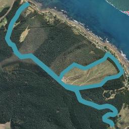 0 Shag Point Road, Shag Point, Palmerston