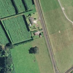 1038 Oropi Road, Oropi, Tauranga