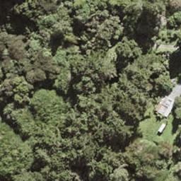 160 Ashton Road, Whangateau, Whangateau
