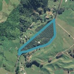 888 Braemar Road, Rotoma, Whakatane