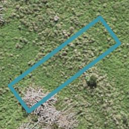 7 Porowha Road, Westgate, Auckland