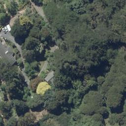 52 Birchfield Avenue, North East Valley, Dunedin