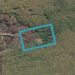 8 Celeste Terrace, Peacocke, Hamilton