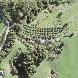 191 Wyllie Road, Warkworth, Warkworth