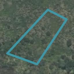 229 Hamiora Street, Matarangi, Whitianga