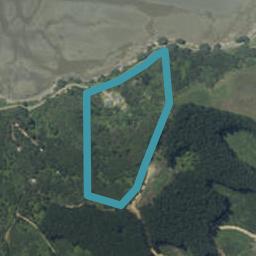 167 Wharf Road, Colville, Coromandel