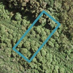 9 Karikari Crescent, Takanini, Auckland