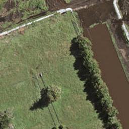 24 Hukihuki Drive, Takanini, Auckland